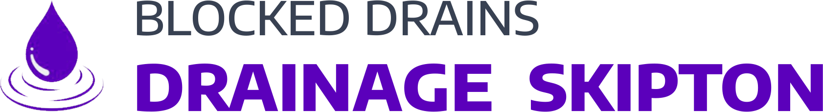 website logo